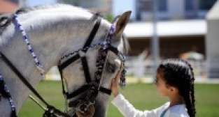 Uşak Belediyesi Cirit Turnuvası Sona Erdi
