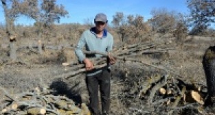 Odun Kömür İşçilerinin Kış mESAİSİ