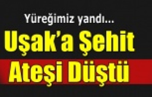 Uşak'a Şehit Ateşi Düştü