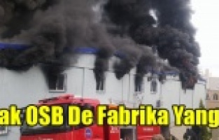 UŞAK OSB'DE FABRİKA YANGINI