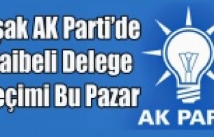 UŞAK AK PARTİ'DE ŞAİBELİ DELEGE SEÇİMİ BU PAZAR