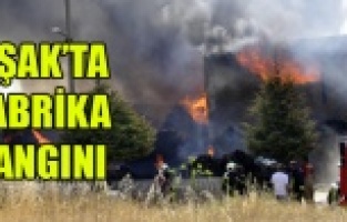 UŞAK'TA FABRİKA YANGINI