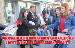 CHP UŞAK BELEDİYE BAŞKAN ADAYI ASIM KALELİOĞLU KADINLARA BİNLERCE KARANFİL DAĞITTI
