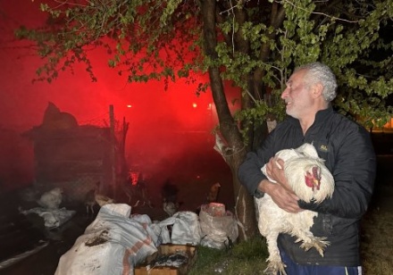 Tekstil atıkların toplandığı depo alev alev yandı: Yangından kurtardığı tavuğuna böyle sarıldı