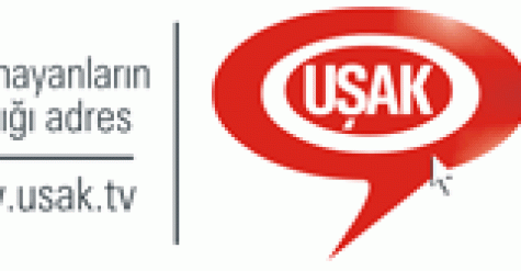 Uşak'ta İki Otomobil Çarpıştı 1 Yaralı