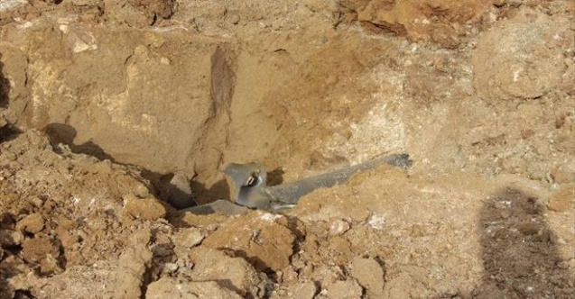 Tavşanlıda Doğalgaz Ana Borusu Patladı