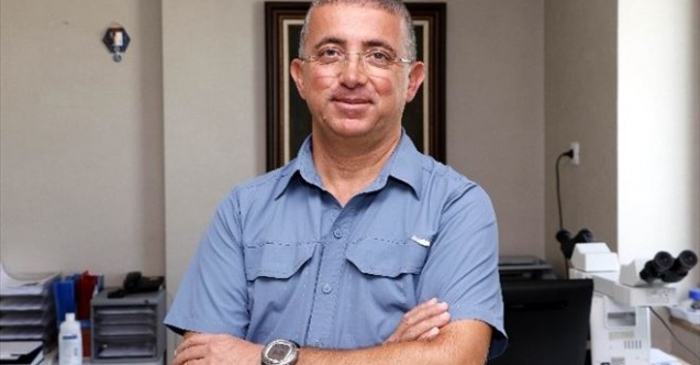 Lenfoma Kanseri En Çok Tarım İşçilerini Vuruyor