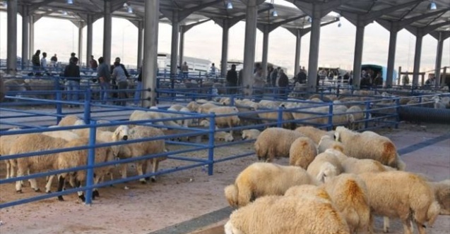 Niğdede Kurban Kesim Yerleri Belirlendi