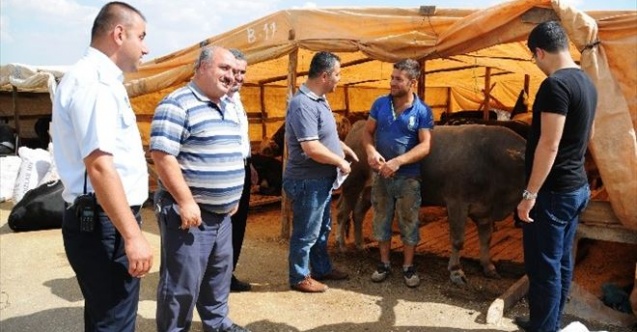 Pursaklarda Kurbanlıklara Sıkı Denetim