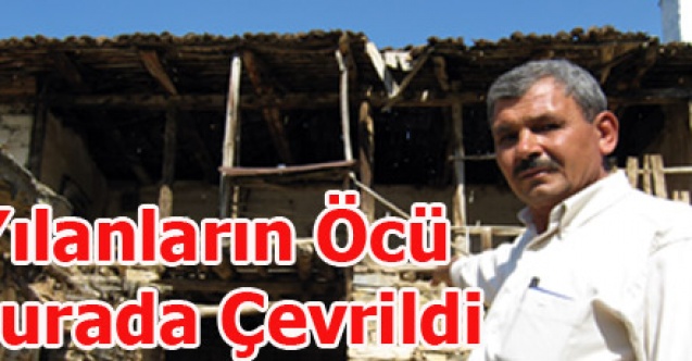 YILANLARIN ÖCÜ BURADA ÇEKİLDİ