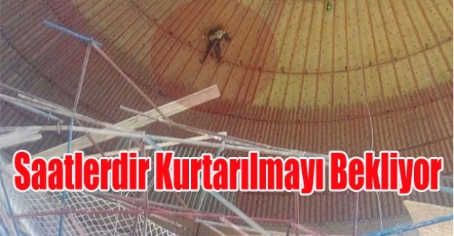 4 İŞÇİ KURTARILDI BİR İŞÇİ TAVANDAN İNDİRİLMEYE ÇALIŞILIYOR