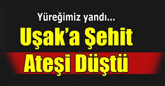Uşak#039;a Şehit Ateşi Düştü