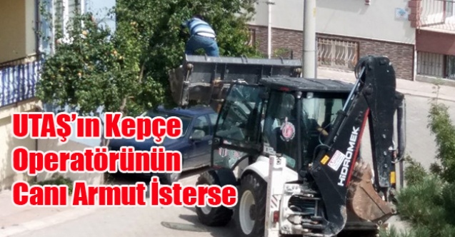 UTAŞ#039;IN KEPÇE OPERATÖRÜNÜN CANI ARMUT İSTERSE!