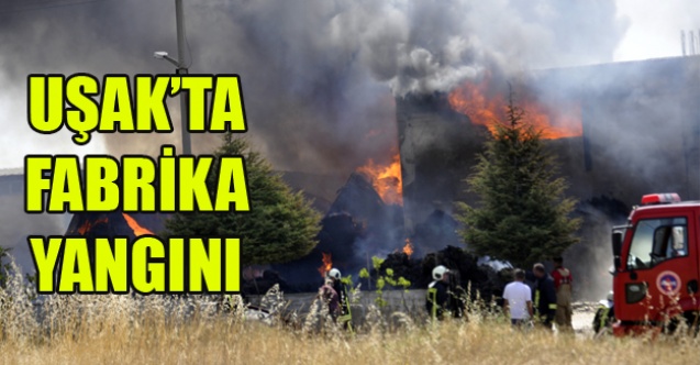 UŞAK#039;TA FABRİKA YANGINI