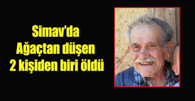 Simav'da  ağaçtan düşen 2 kişiden 1'i öldü, diğeri ise ağır yaralandı. 