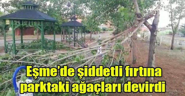 Eşme#039;de şiddetli fırtına parktaki ağaçları devirdi