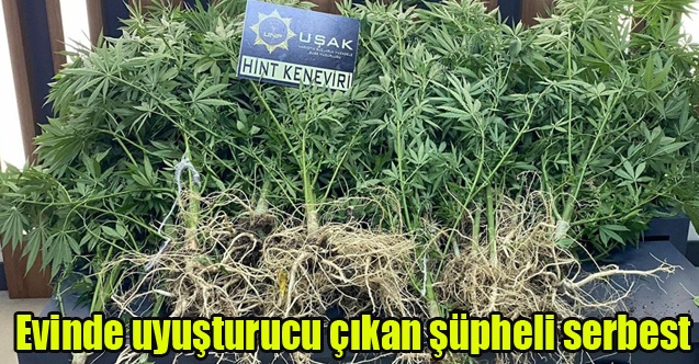 Evinde yüklü miktar uyuşturucu çıkan şüpheli serbest kaldı