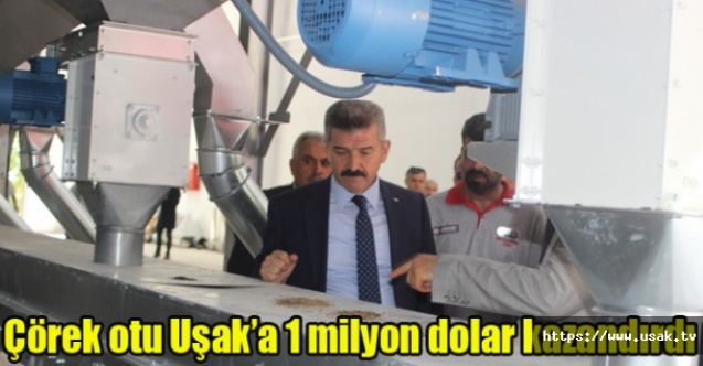 Çörek otu tohumu ihracatı Uşaka 1 milyon dolar kazandırdı
