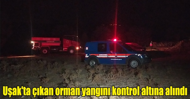 Uşak#039;ta çıkan orman yangını kontrol altına alındı