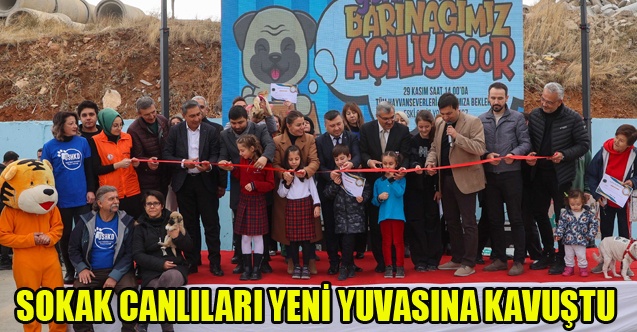 SOKAK CANLILARI YENİ YUVASINA KAVUŞTU
