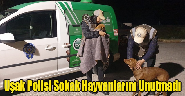 Uşak polisi sokak hayvanlarını unutmadı