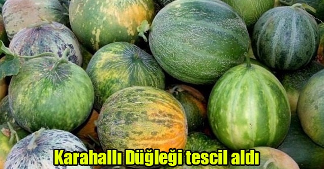 Karahallı Düğleği tescil aldı