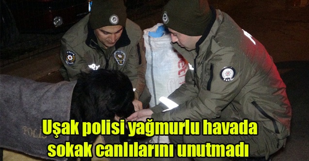 Uşak polisi yağmurlu havada sokak canlılarını unutmadı