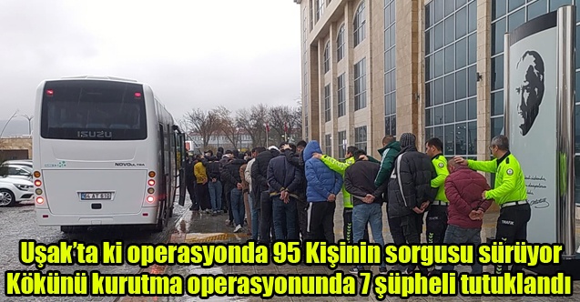 Uşak#039;ta Kökünü kurutma operasyonunda 7 şüpheli tutuklandı