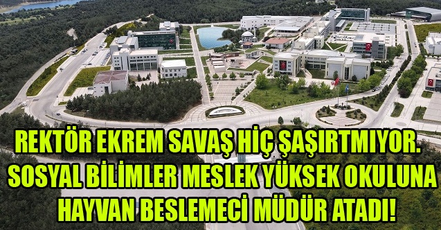 SOSYAL BİLİMLER MESLEK YÜKSEK OKULUNA  HAYVAN BESLEMECİ MÜDÜR ATANDI!