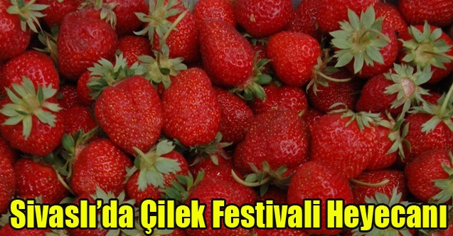 Sivaslıda 35. Çilek ve Kültür Festivali için geri sayım başladı