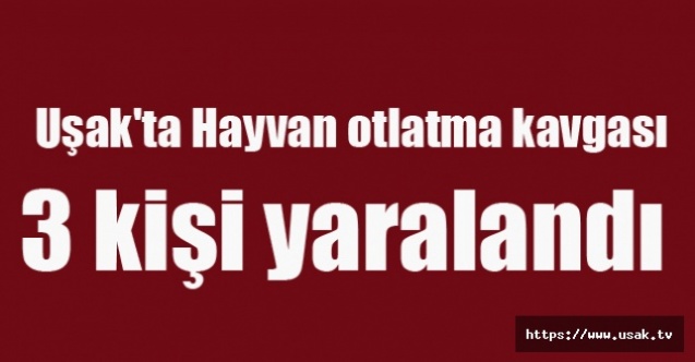Uşak#039;ta Hayvan otlatma kavgasında 3 kişi yaralandı