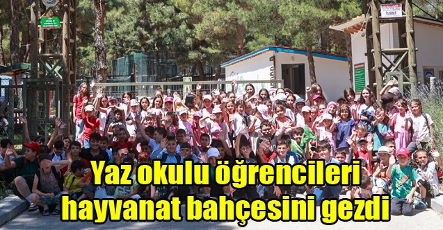 Yaz okulu öğrencileri hayvanat bahçesini gezdi