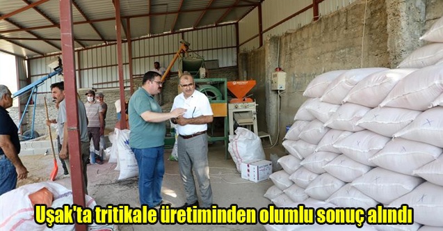 Uşak#039;ta tritikale üretiminden olumlu sonuç alındı