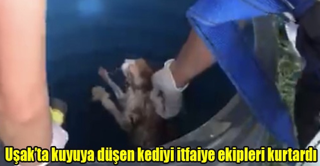 Uşakta kuyuya düşen kediyi itfaiye ekipleri kurtardı