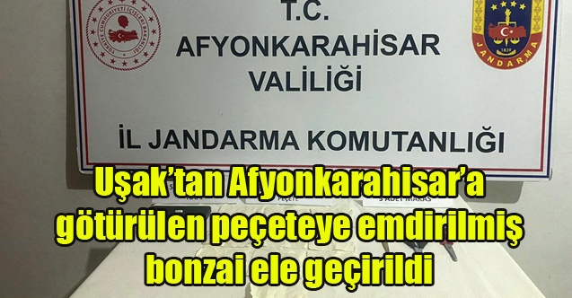 Uşak#039;tan Afyonkarahisara götürülen peçeteye emdirilmiş bonzai ele geçirildi
