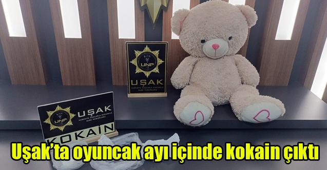 Uşakta oyuncak ayı içinde kokain çıktı