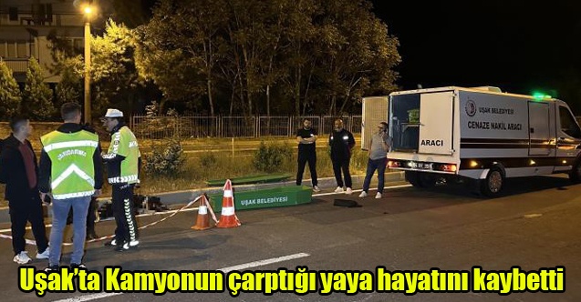 Kamyonun çarptığı yaya hayatını kaybetti