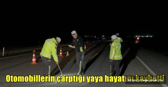 Otomobillerin çarptığı yaya hayatını kaybetti