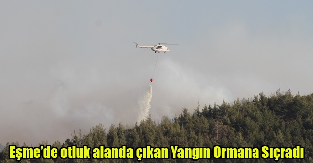 Eşme#039;de ki orman yangınına müdahale sürüyor