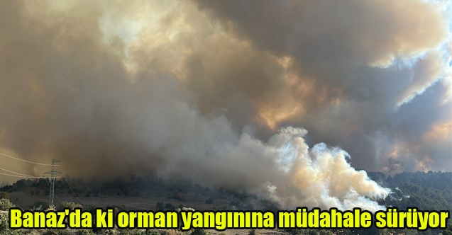 Uşak#039;taki orman yangınına müdahale sürüyor